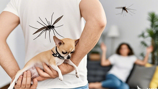How to Trap Fruit Flies & Gnats Safely? 5 Pet-Friendly Hacks