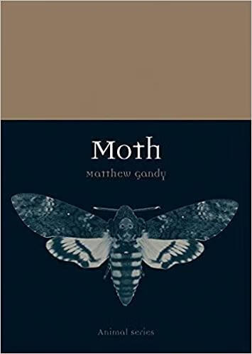 The Enigma of Moths