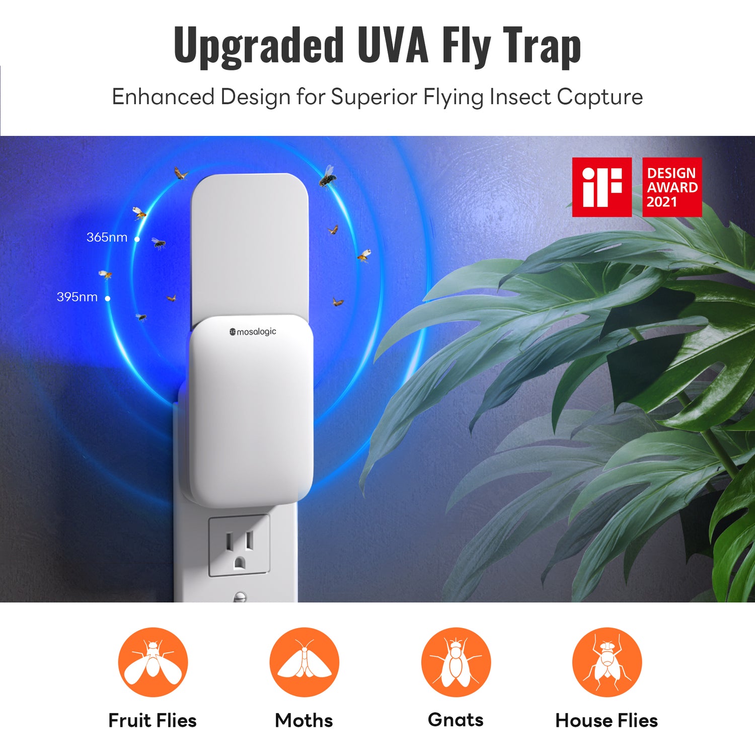 Fly Trap Indoors