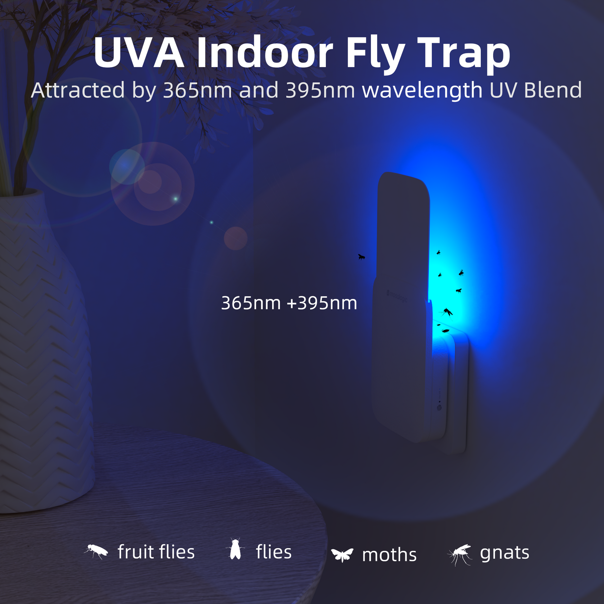 Flying Insect Trap Plug-In, 2023 Upgrade Mosquito Trap Gnat  Killer, Safe Non-Toxic UV Light Attractant Indoor Plug-In Night Light Fly  Trap with Sticky Pad for Flies, Gnats, Moths(1 Pack, White) 